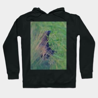 BORNEO DRAGON Hoodie